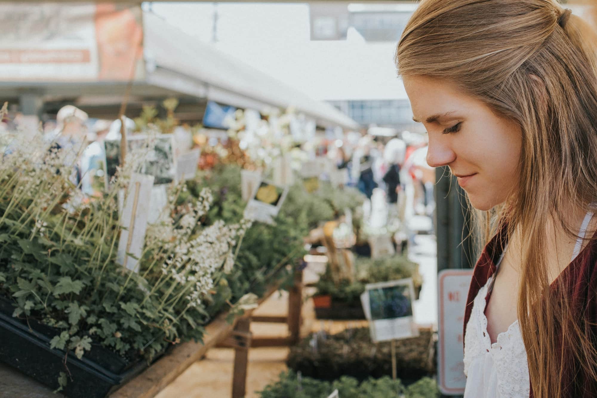 formation-conseiller-vente-jardinerie-mcm-afest